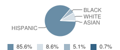 Tierra Del Sol Elementary School Student Race Distribution