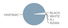 Del Valle High School Student Race Distribution