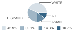 Alternative Safe High School Student Race Distribution