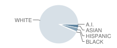 Lone Peak School Student Race Distribution