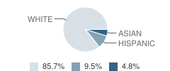 Home Hospital School Student Race Distribution