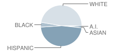 Washington High School Student Race Distribution