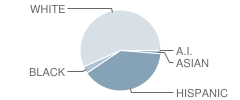 Hillcrest School Student Race Distribution