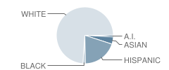 Mountain View High School Student Race Distribution