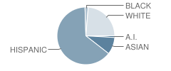 Monroe School Student Race Distribution