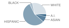 Stansbury School Student Race Distribution