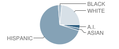 Young Parent Program School Student Race Distribution