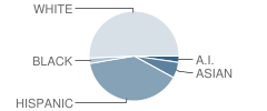 Thomas Jefferson Jr High School Student Race Distribution