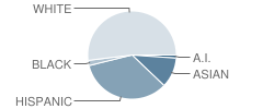 Hunter High School Student Race Distribution