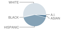 Majestic School Student Race Distribution