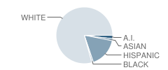 Valley High School Student Race Distribution