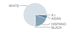 Copper Hills High School Student Race Distribution