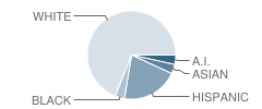 C B T U School Student Race Distribution