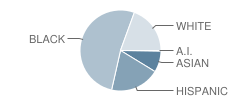 Potomac Middle School Student Race Distribution