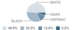 Anthony Burns Elementary School Student Race Distribution