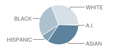 Laurel Hill Elementary School Student Race Distribution