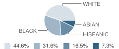 Woodbrook Elementary School Student Race Distribution