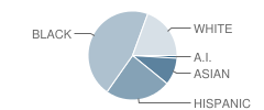 James K. Polk Elementary School Student Race Distribution