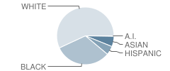 Lyles-Crouch Elementary School Student Race Distribution