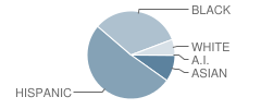 William Ramsay Elementary School Student Race Distribution