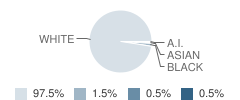 Sharon Elementary School Student Race Distribution