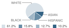 Glebe Elementary School Student Race Distribution