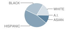 Wakefield High School Student Race Distribution