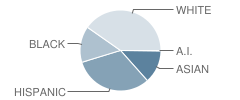 Washington Lee High School Student Race Distribution