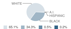 William Campbell High School Student Race Distribution