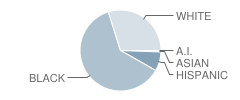 George W. Carver Intermediate School Student Race Distribution