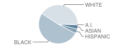 Indian River High School Student Race Distribution