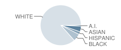 Southeastern Elementary School Student Race Distribution