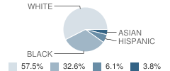 Deep Creek Central Elementary School Student Race Distribution