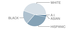 Bellwood Elementary School Student Race Distribution