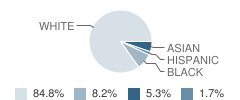 Midlothian Middle School Student Race Distribution