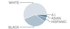 Monacan High School Student Race Distribution