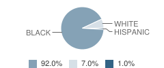 Woodrow Wilson Elementary School Student Race Distribution