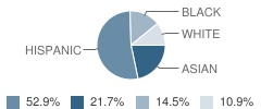 Annandale Terrace Elementary School Student Race Distribution