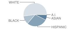 Belle View Elementary School Student Race Distribution