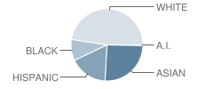 Fairfax High School Student Race Distribution