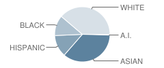 Greenbriar East Elementary School Student Race Distribution