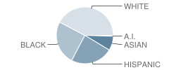 West Potomac High School Student Race Distribution