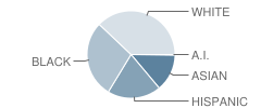 Hayfield Secondary School Student Race Distribution