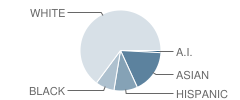 Hunt Valley Elementary School Student Race Distribution