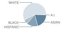 Lake Braddock Secondary School Student Race Distribution