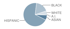 Mount Eagle Elementary School Student Race Distribution