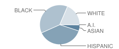 Riverside Elementary School Student Race Distribution