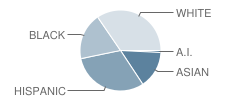 Twain Middle School Student Race Distribution