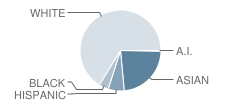 Woodson High School Student Race Distribution