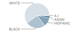 Fort Belvoir Elementary School Student Race Distribution